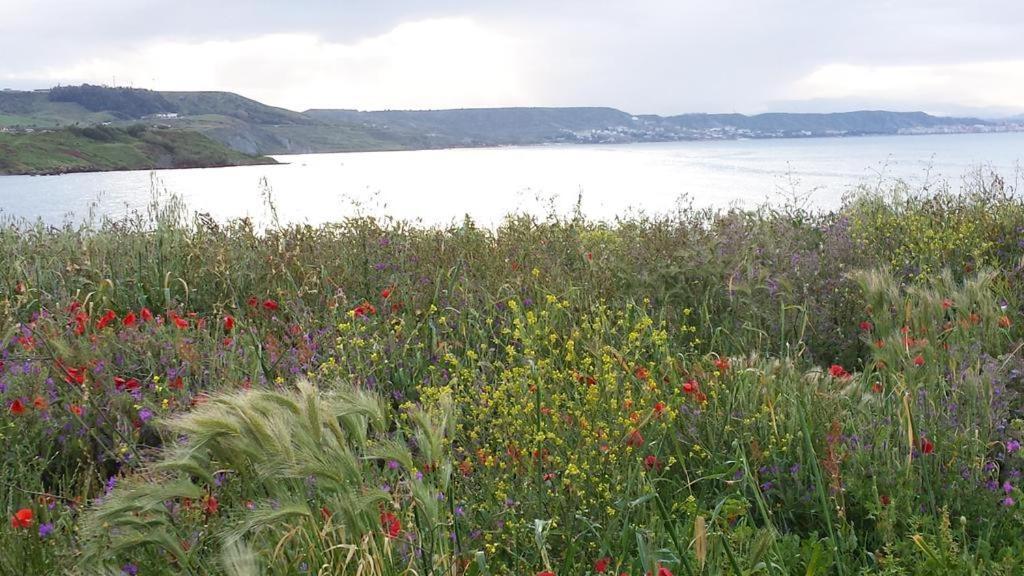 B&B Antica Kroton Crotone Esterno foto